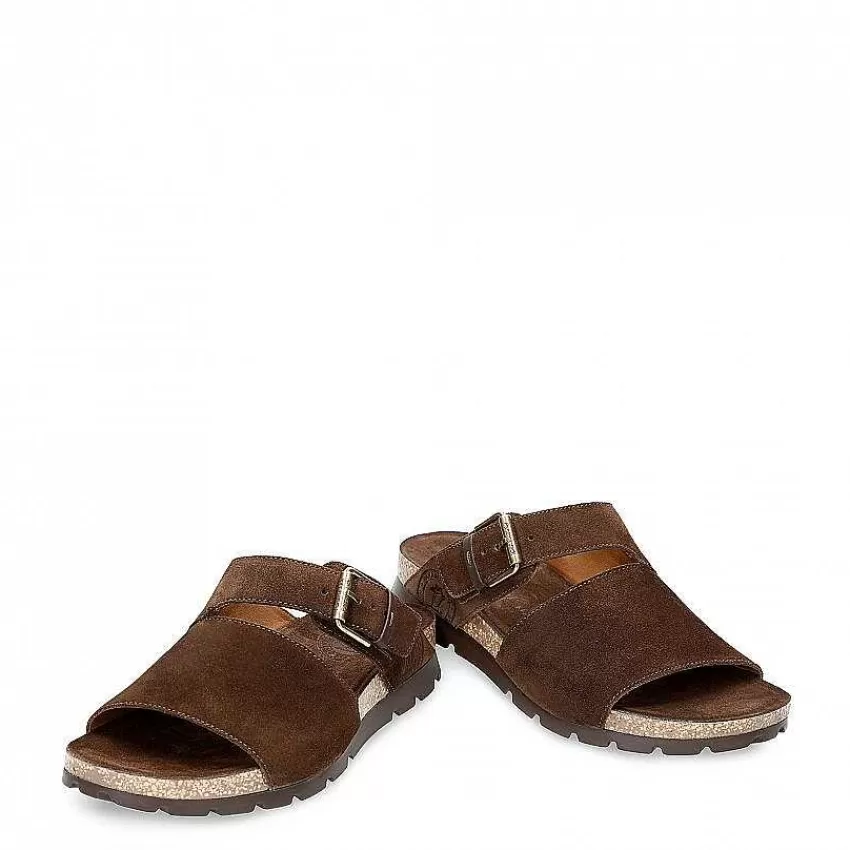 saturno_3.webp Saturno^Panama Jack Clearance