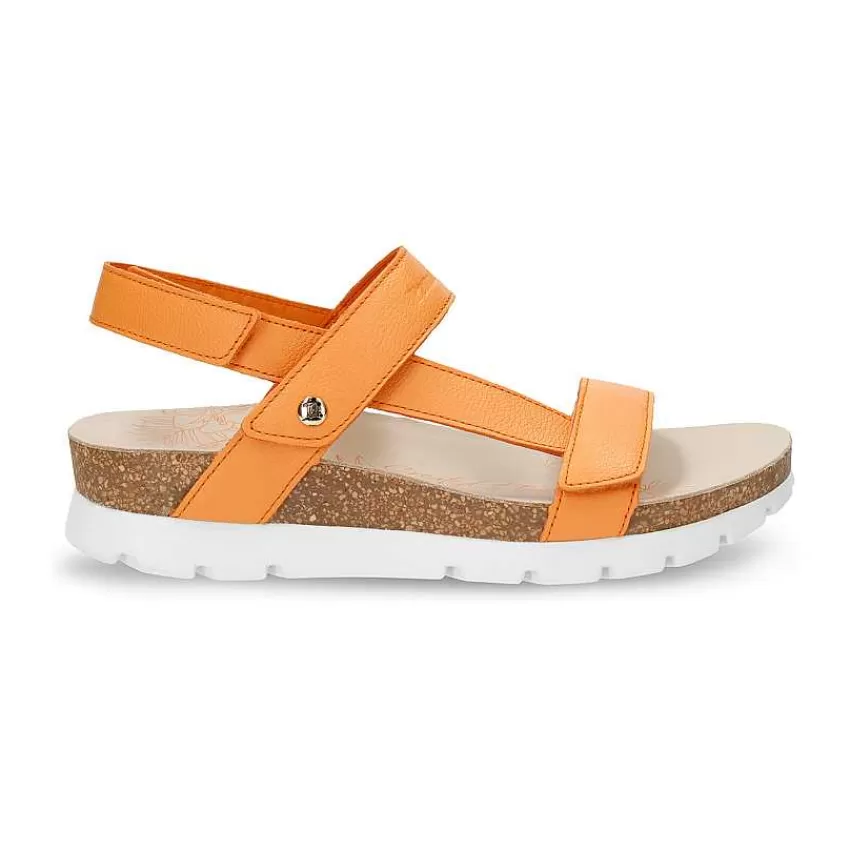 selma_1-4.webp Selma^Panama Jack Shop