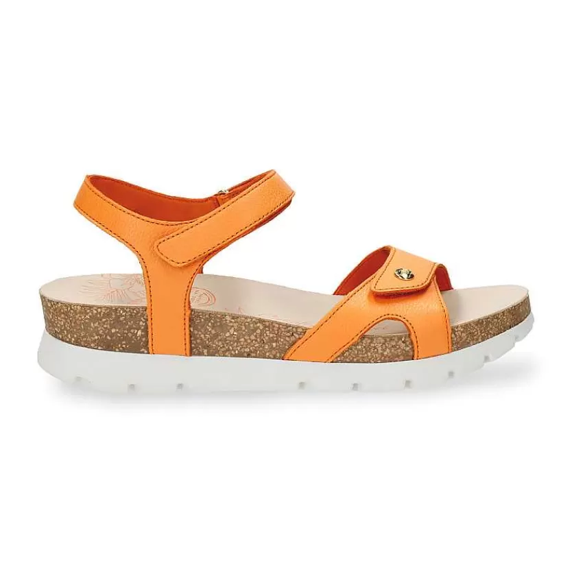 sulia_1-1.webp Sulia^Panama Jack Online