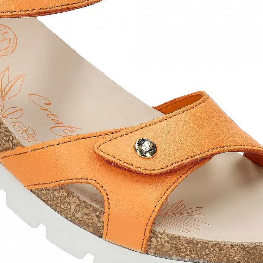 sulia_7-1.webp Sulia^Panama Jack Online