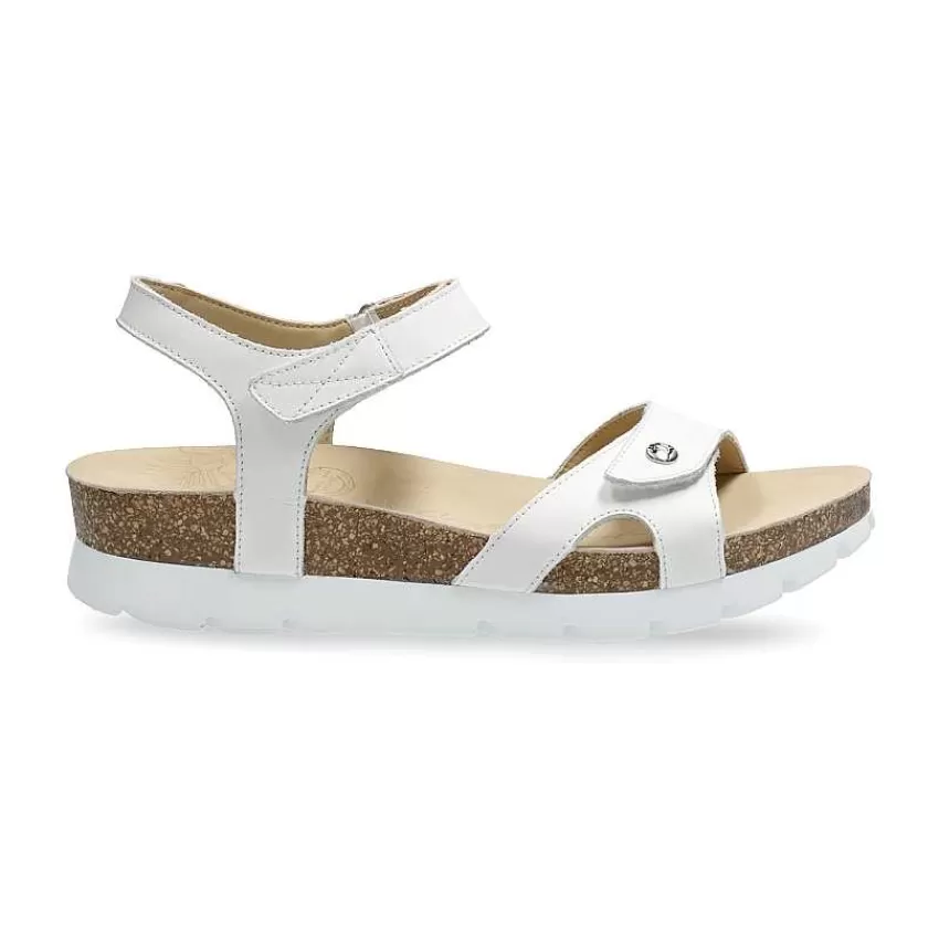 sulia_basics_1-2.webp Sulia Basics^Panama Jack Online