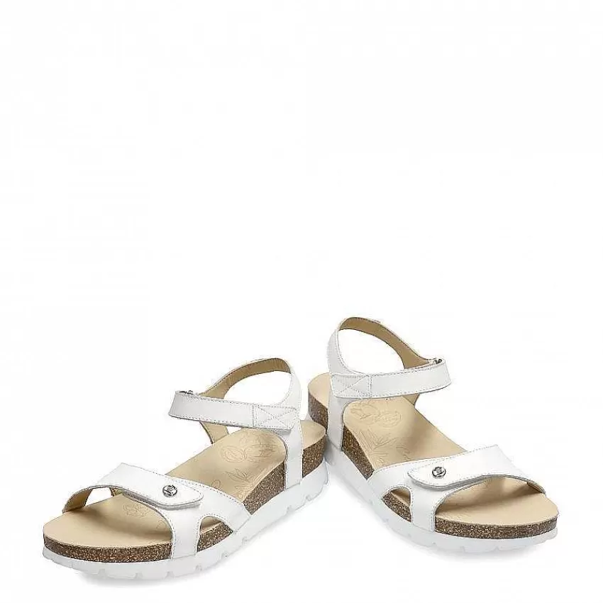 sulia_basics_3.webp Sulia Basics^Panama Jack New