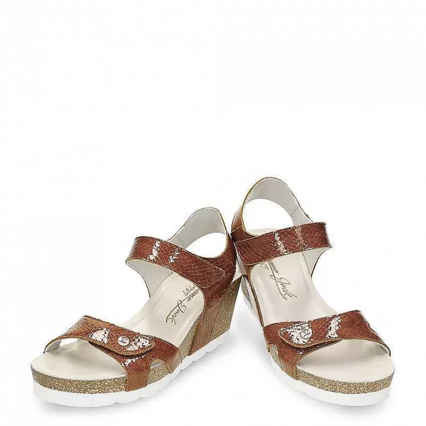 vila_3-1.webp Vila^Panama Jack Hot